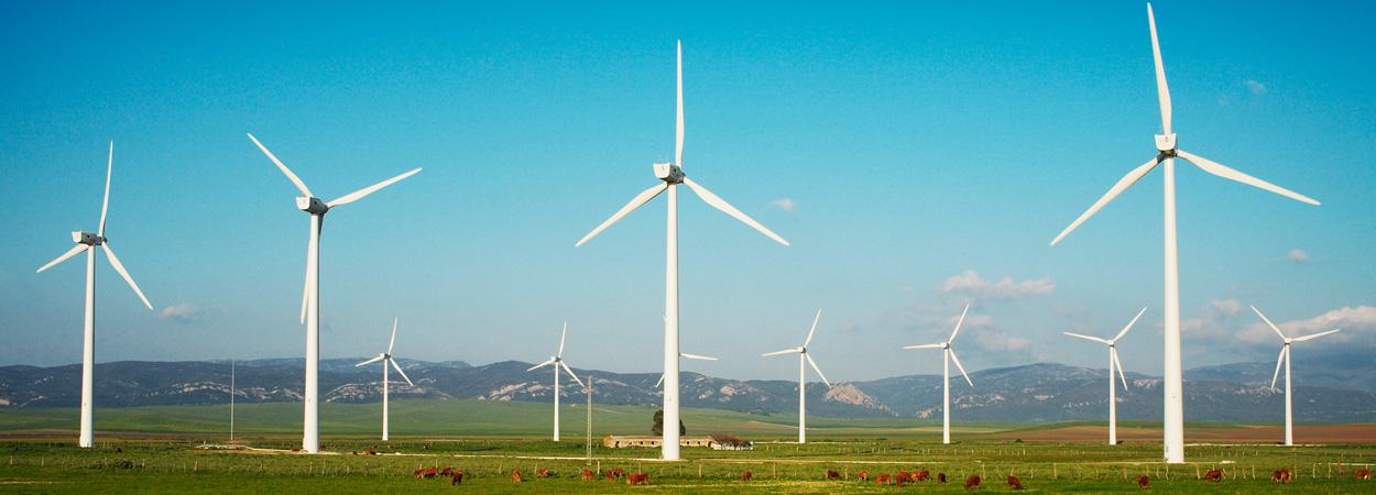 parque eólico com aerogeradores brancos em campo verde