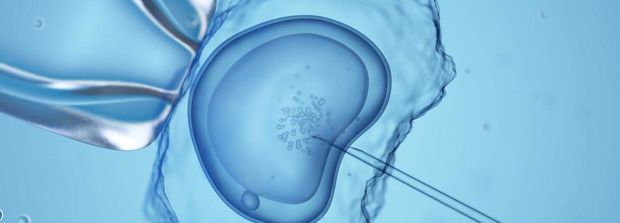 fertilização in vitro