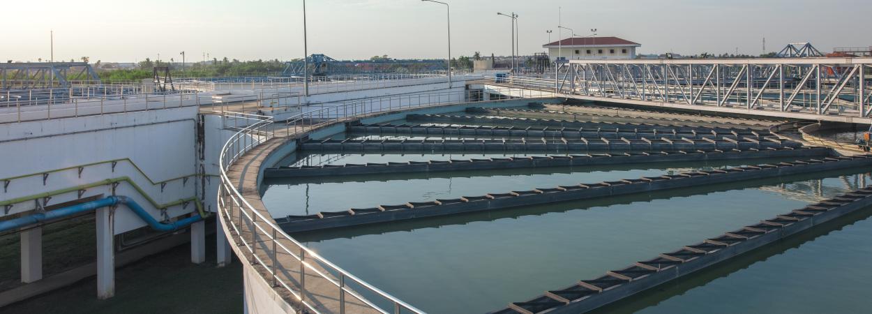 Growth Blue, Velvetforest e EJ Investimentos