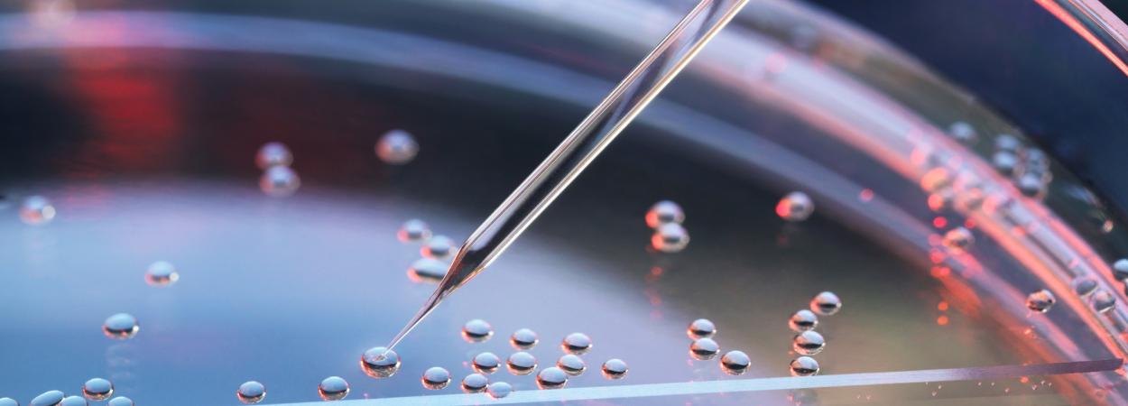 Stemlab 