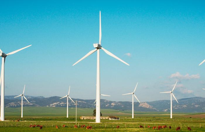 parque eólico com aerogeradores brancos em campo verde