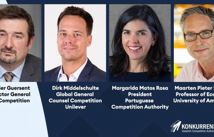 Pros and cons sustainability