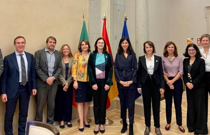 9º encontro bilateral AdC CNMC