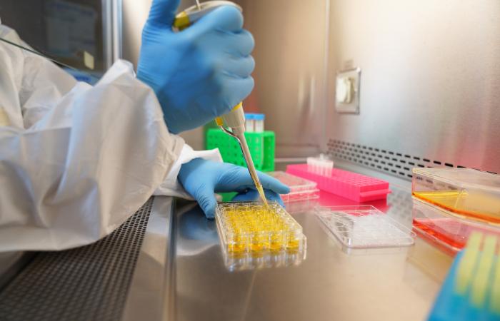 mão com luvas a encher pipetas em ambiente de laboratório