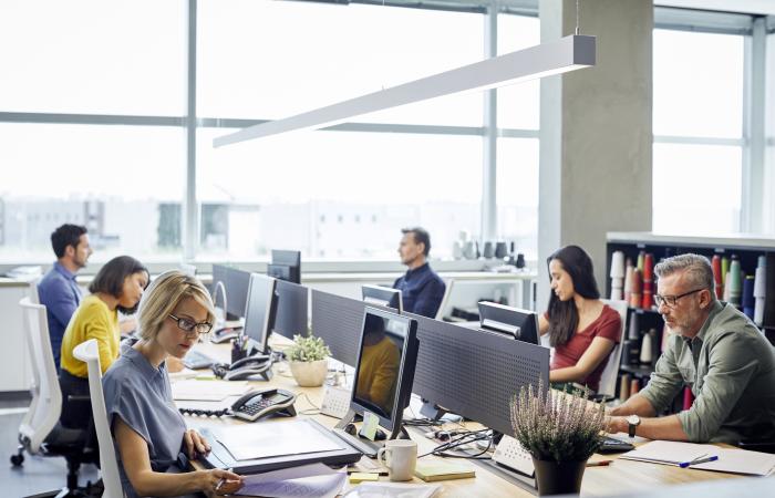 trabalhadores em computadores