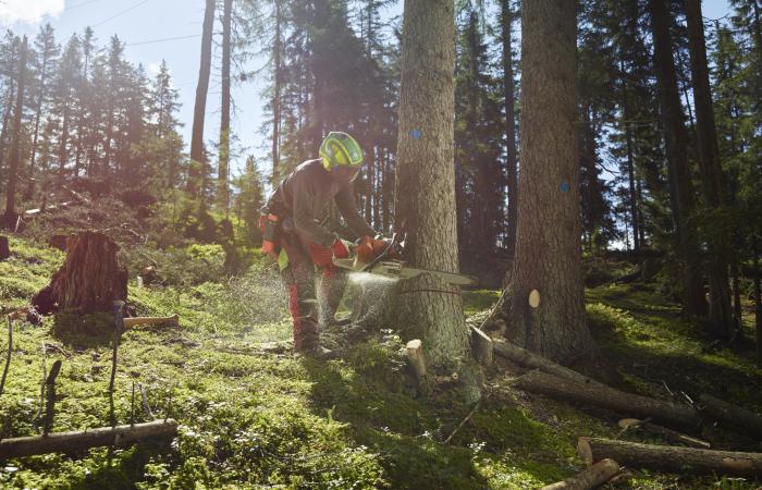 Crest Agro I e Digave | Grupo Ambiflora