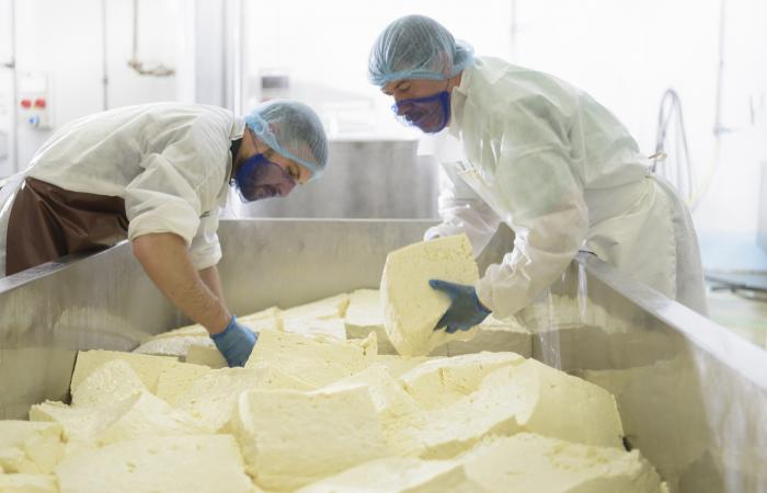 Lactogal / Grupo Santiago