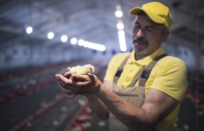 Valmo | Monte D'Alma