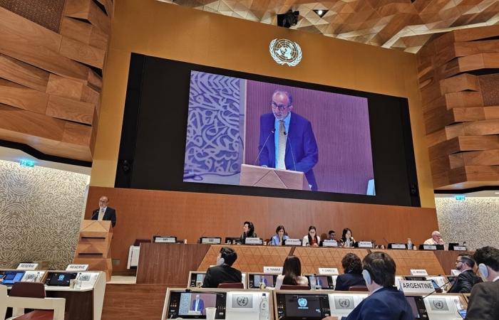 intervenção 4 de julho 2024