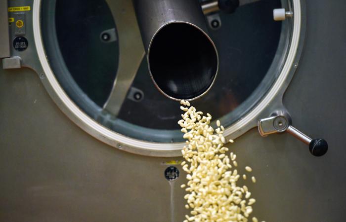 máquina a expelir sementes