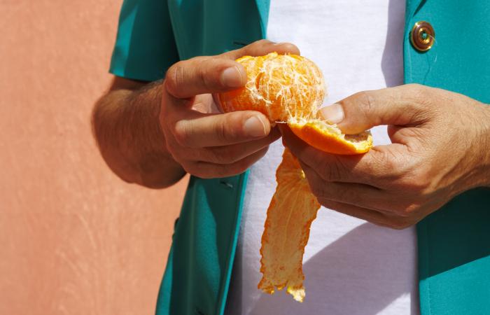 Iberian Premium Fruits