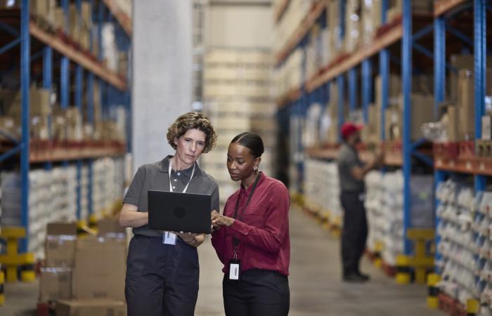 Black and Blue Investimentos, Visabeira e Jerónimo Martins