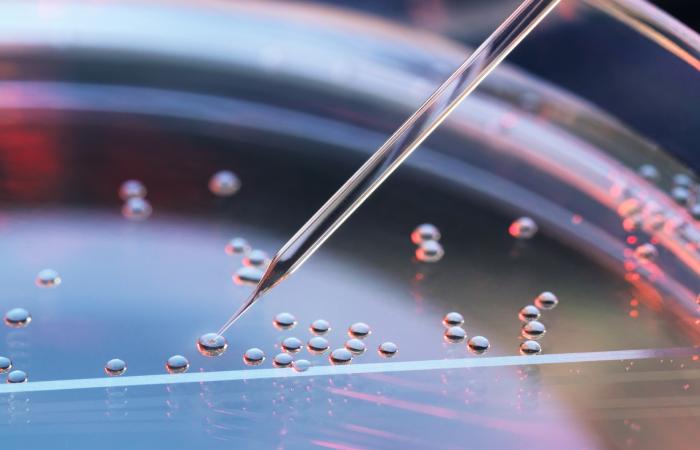 Stemlab 