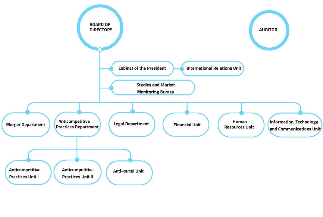 Organization chart since 2022